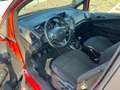 Ford B-Max 1.4 90 CV Business Titanium Rosso - thumbnail 7