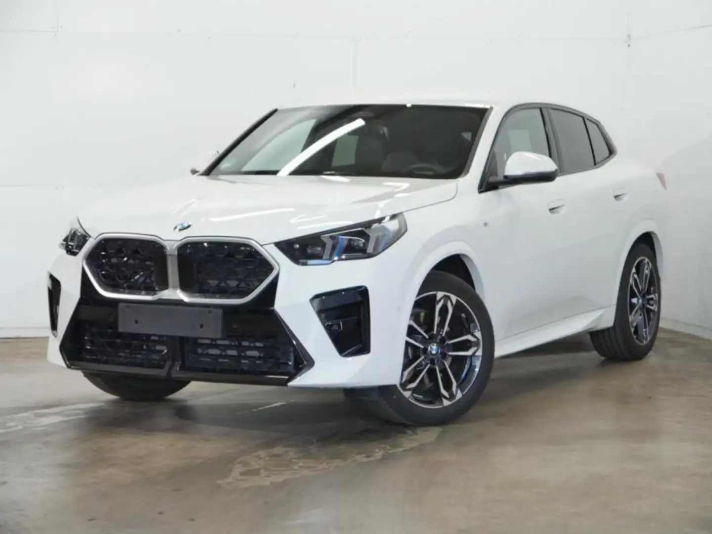 BMW X2 M SPORT - HARMAN-KARDON - ACC Wit - 2