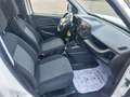 Fiat Doblo Doblò 1.6 MJT 120CV S&S PL-TN Cargo Lounge Blanc - thumbnail 9