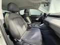 Audi Q3 35 TDI Advanced quattro S tronic 110kW Verde - thumbnail 8