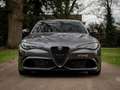 Alfa Romeo Giulia 2.9 V6 Quadrifoglio MY25 | Harman/Kardon | Adapt. Gris - thumbnail 14