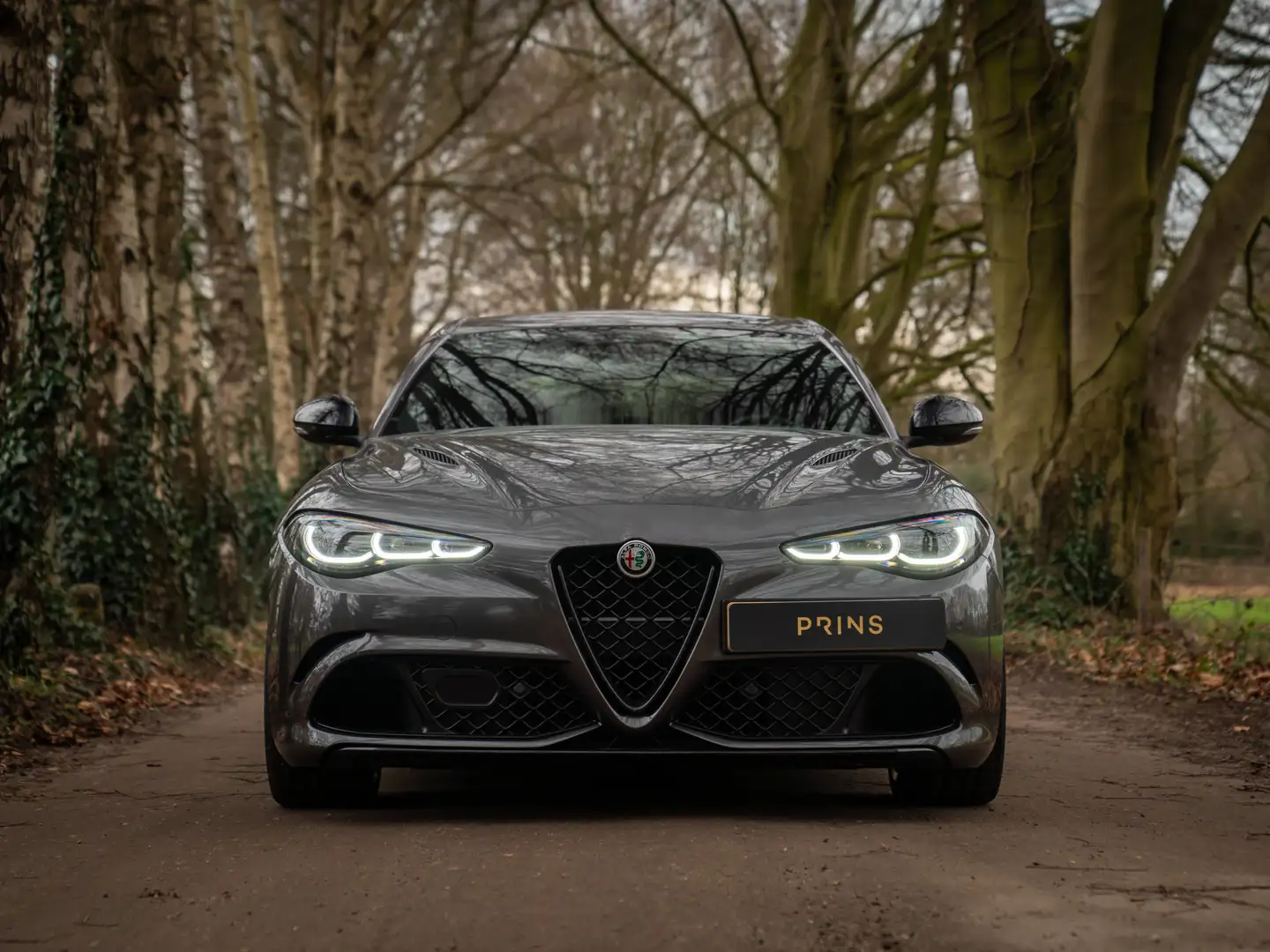 Alfa Romeo Giulia 2.9 V6 Quadrifoglio MY25 | Harman/Kardon | Adapt. Gris - 2
