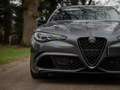 Alfa Romeo Giulia 2.9 V6 Quadrifoglio MY25 | Harman/Kardon | Adapt. Gris - thumbnail 19