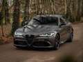 Alfa Romeo Giulia 2.9 V6 Quadrifoglio MY25 | Harman/Kardon | Adapt. Gris - thumbnail 17