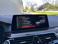 BMW 530 5-serie Touring 530i Automaat Executive Luxury Lin Grijs - thumbnail 30