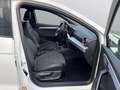 SEAT Ibiza FR Black Edition 1.0 TSI *Navi+SHZ+Kessy* Weiß - thumbnail 14