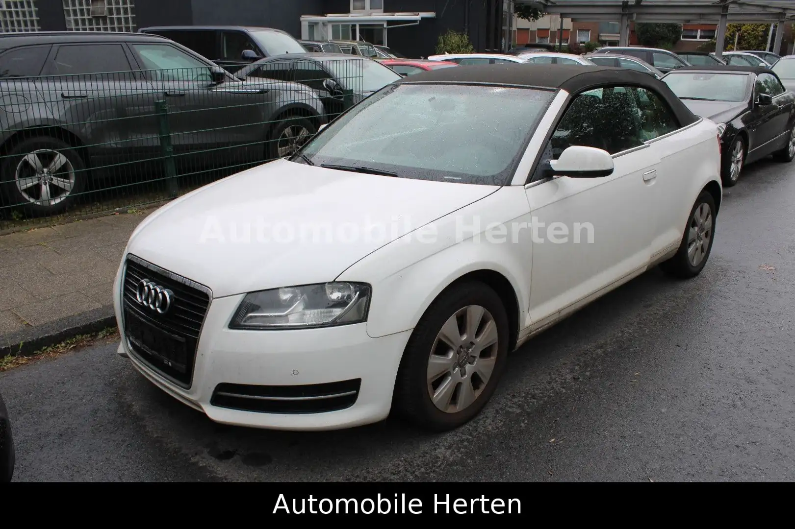 Audi A3 2,0TDI Cabriolet*LEDER*SHZ*MFL*TEMPOMAT! Weiß - 1