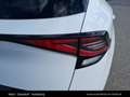 Kia Sportage /GOLD/UVO/1.6 TGDI 48V/DCT7/0/15 Weiß - thumbnail 17