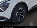 Kia Sportage /GOLD/UVO/1.6 TGDI 48V/DCT7/0/15 Weiß - thumbnail 13