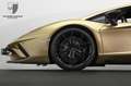 Lamborghini Aventador Aventador S FullCarbon/OroElios/Travel/FullPPF Or - thumbnail 45