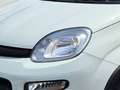 Fiat Panda Hybrid 1.0 GSE Parksensoren hinten CityPaket Tempo Weiß - thumbnail 7