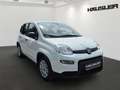 Fiat Panda Panda Hybrid 1.0 GSE Parksensoren hinten CityPaket Weiß - thumbnail 2