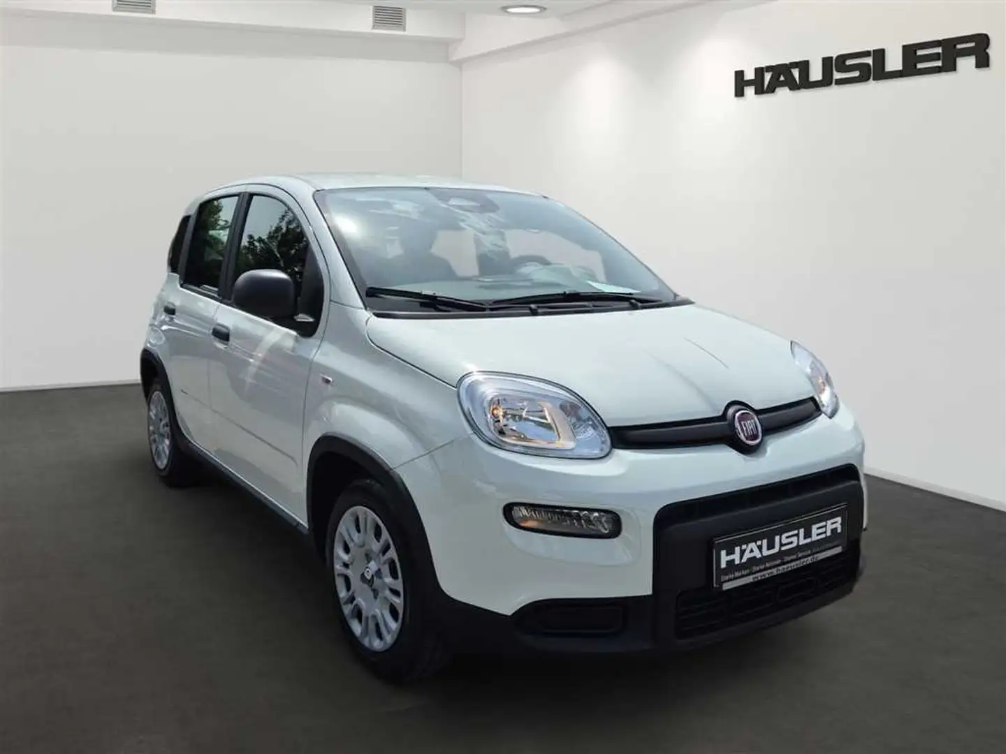 Fiat Panda Hybrid 1.0 GSE Parksensoren hinten CityPaket Tempo Weiß - 2