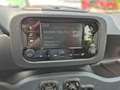 Fiat Panda Panda Hybrid 1.0 GSE Parksensoren hinten CityPaket Weiß - thumbnail 13