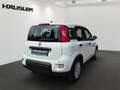Fiat Panda Panda Hybrid 1.0 GSE Parksensoren hinten CityPaket Weiß - thumbnail 4