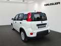 Fiat Panda Panda Hybrid 1.0 GSE Parksensoren hinten CityPaket Weiß - thumbnail 5