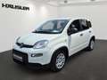 Fiat Panda Hybrid 1.0 GSE Parksensoren hinten CityPaket Tempo Weiß - thumbnail 1