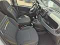 Fiat Panda Panda Hybrid 1.0 GSE Parksensoren hinten CityPaket Weiß - thumbnail 16
