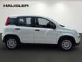 Fiat Panda Panda Hybrid 1.0 GSE Parksensoren hinten CityPaket Weiß - thumbnail 3