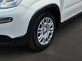 Fiat Panda Panda Hybrid 1.0 GSE Parksensoren hinten CityPaket Weiß - thumbnail 8