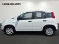 Fiat Panda Panda Hybrid 1.0 GSE Parksensoren hinten CityPaket Weiß - thumbnail 6