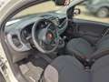 Fiat Panda Panda Hybrid 1.0 GSE Parksensoren hinten CityPaket Weiß - thumbnail 10