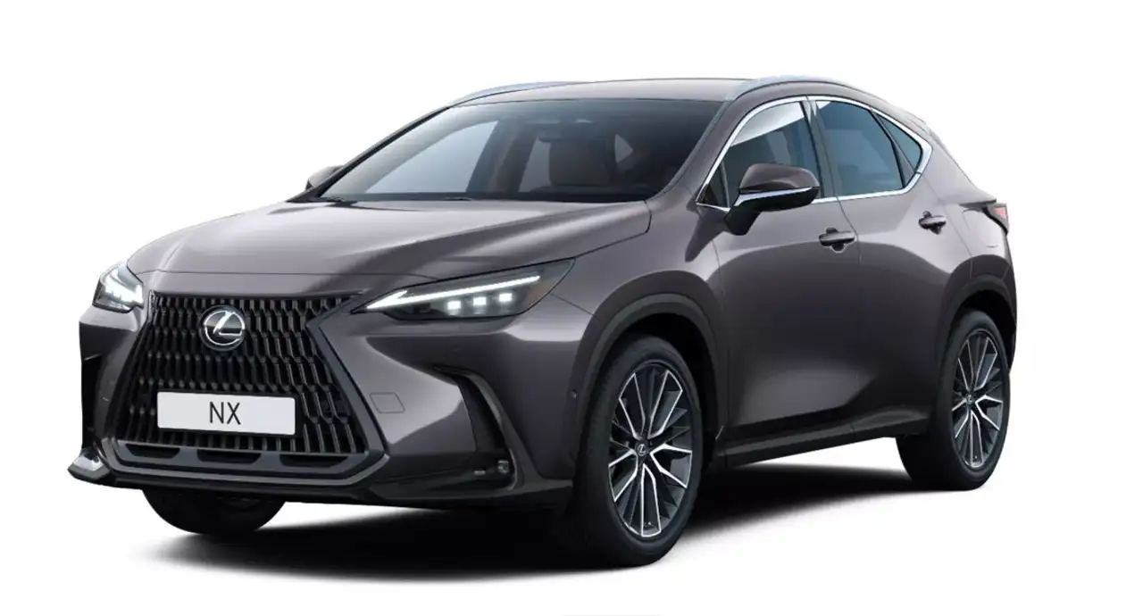 Lexus NX 450h+ Plug-in Luxury Line Pano, 360°Kamera, BT