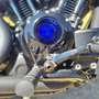 Indian Chief Blue - thumbnail 3