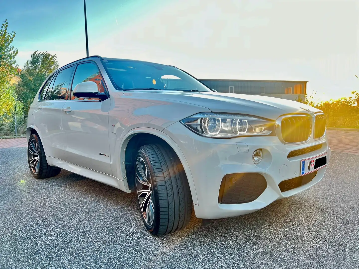 BMW X5 X5 F15 xDrive30d Aut. M-Paket - 1