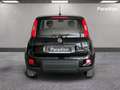 Fiat Panda III 2021 Cross 1.0 firefly hybrid City Cross s&s Negro - thumbnail 4