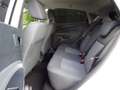 Ford Fiesta 1.25 Limited Black & White met Airco Wit - thumbnail 7