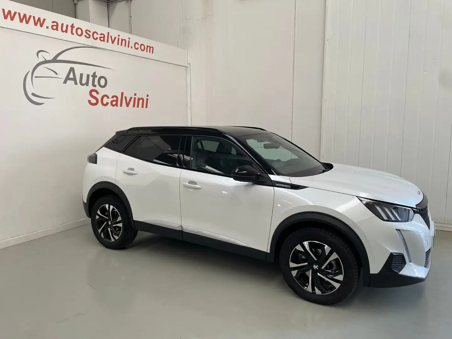 Peugeot 2008 BlueHDi 130 S&S EAT8 GT Bianco - 1