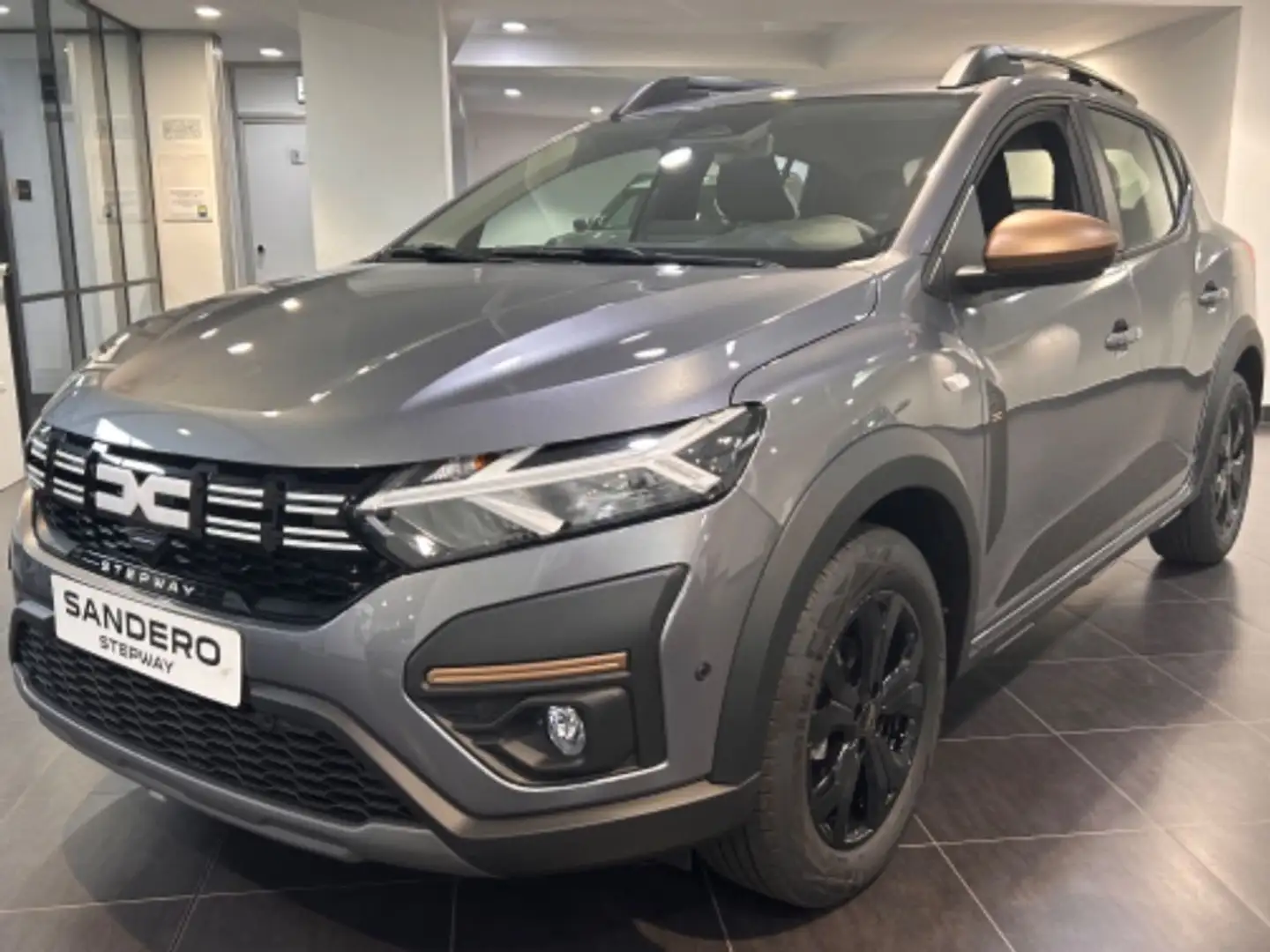 Dacia Sandero Stepway Extreme Go Gris - 1