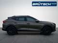 CUPRA Formentor VZ 2.0 TSI Tribe Edition 4Drive DSG / ALCANTARA / Grau - thumbnail 8