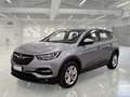 Opel Grandland X 1.5 Ecotec Diesel 130cv Business S&S AT8 - thumbnail 1