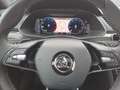 Skoda Superb Combi 2.0 TDI DSG 4x4 Sportline Standhzg Grau - thumbnail 10