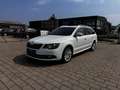 Skoda Superb Exclusive Weiß - thumbnail 1