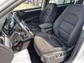 Skoda Superb Exclusive Weiß - thumbnail 12