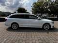 Skoda Superb Exclusive Weiß - thumbnail 6