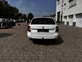 Skoda Superb Exclusive Weiß - thumbnail 4
