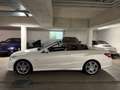 Mercedes-Benz E 350 Cabrio**CGI**AMG Line**orig. 39`km**VOLL Blanco - thumbnail 6