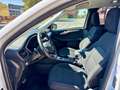 Ford Kuga 2.5 Duratec FHEV ST-Line AWD Aut. Blanco - thumbnail 8