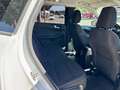 Ford Kuga 2.5 Duratec FHEV ST-Line AWD Aut. Blanco - thumbnail 10