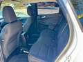 Ford Kuga 2.5 Duratec FHEV ST-Line AWD Aut. Blanco - thumbnail 9