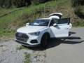 Audi Q3 Q3 35 TDI quattro intense S-tronicintense Weiß - thumbnail 1