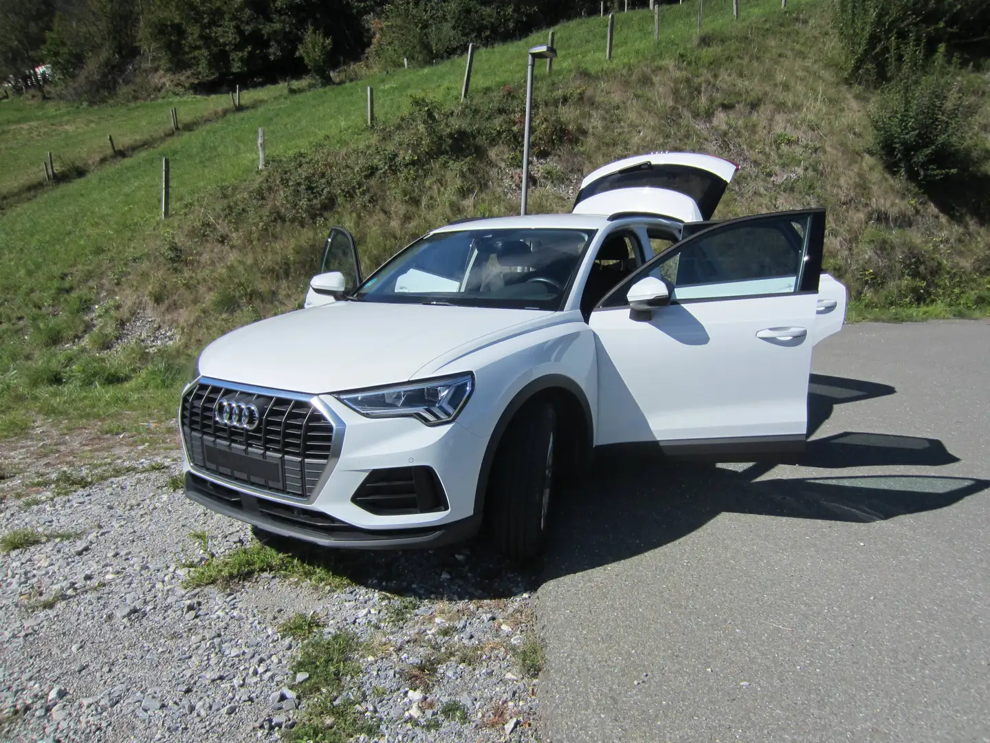 Audi Q3 Q3 35 TDI quattro intense S-tronicintense Weiß - 1