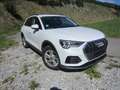 Audi Q3 Q3 35 TDI quattro intense S-tronicintense Weiß - thumbnail 16