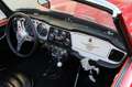 Triumph TR4 Rosso - thumbnail 14