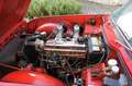 Triumph TR4 Rosso - thumbnail 10