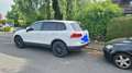 Volkswagen Touareg 3.0 V6 TDI SCR Blue Motion DPF Automatik Weiß - thumbnail 6